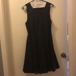 Express fit and flare dress